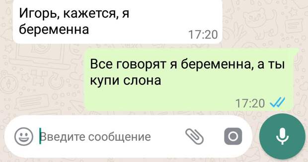 Дюжина переписок в мессенджерах от людей с чувством юмора