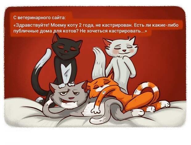 Подслушано в картинках