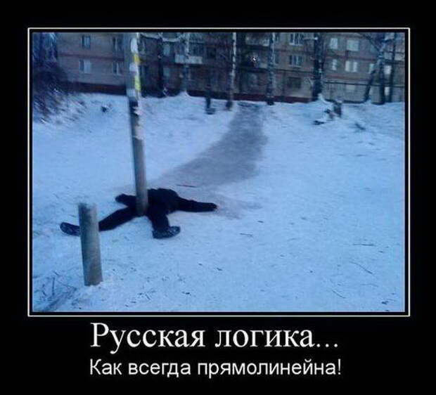 Смешные картинки, демотиваторы дня
