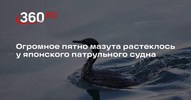 NHK: в порту Сэндай с судна службы безопасности вытекла тысяча литров мазута