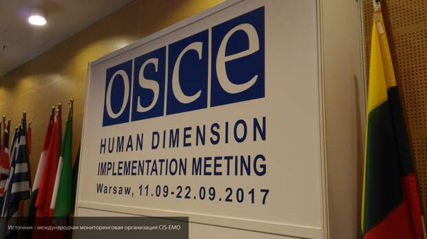 В ОБСЕ отметили нарушение прав человека на Украине