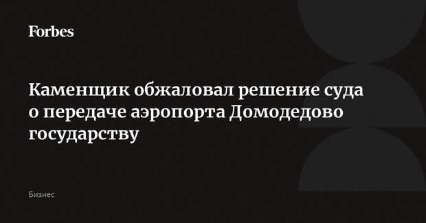 Каменщик обжаловал решение суда о передаче аэропорта Домодедово государству