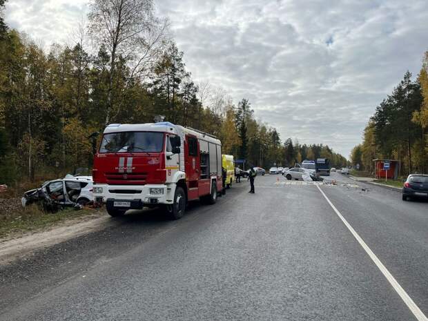 В Гусь-Хрустальном районе произошло серьёзное ДТП: водители в реанимации