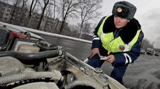 В ГАИ раскрыли, что надо учитывать при покупке автомобиля: мощность или крутящий момент