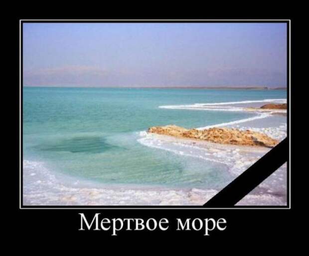 Подборка классных демотиваторов № 75