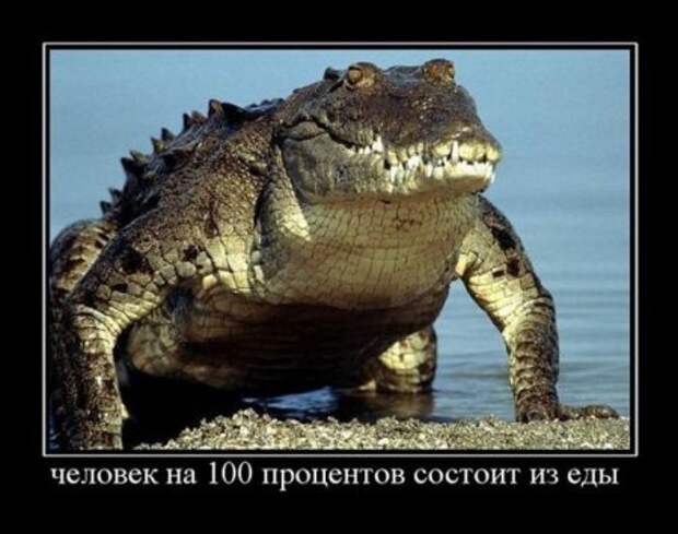 Демотиваторы, поприкольней из новых.