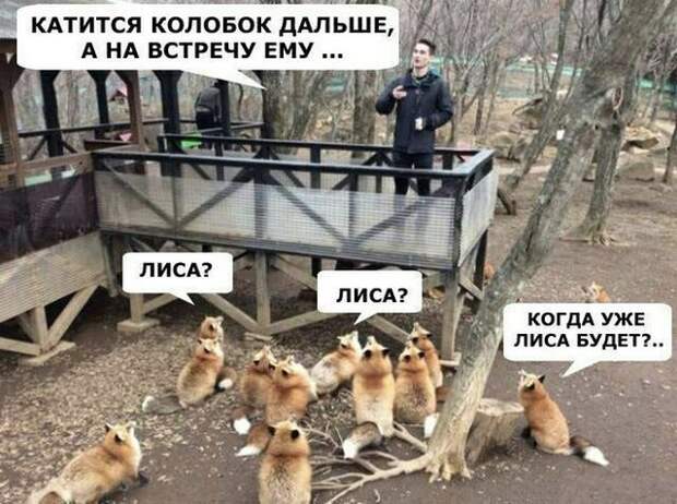 www.vsyako.net