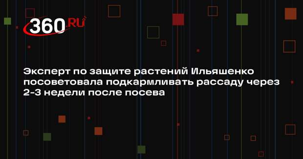 Эксперт по защите растений Ильяшенко посоветовала подкармливать рассаду через 2-3 недели после посева