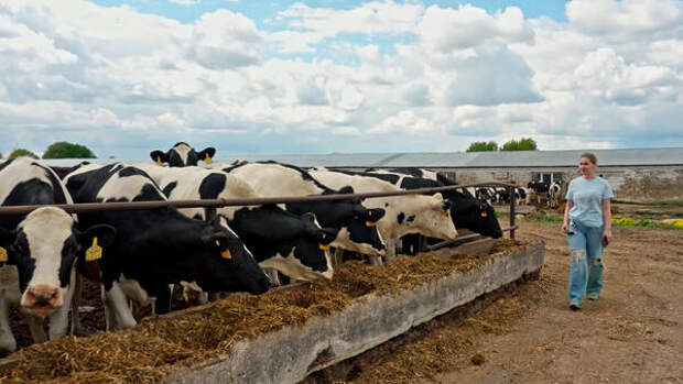 «Физическую боль можно заглушить таблетками. Моральную — нет»: маммопластика разрушила жизнь доярки из Рязани