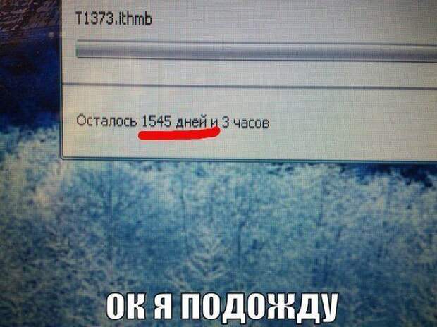 Картинки со смешными подписями
