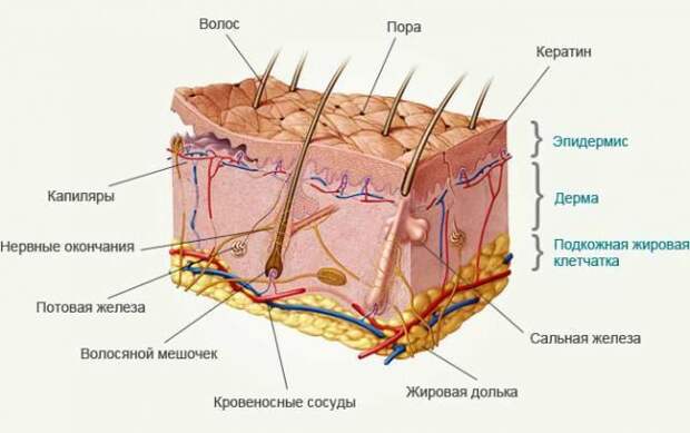 Всё об уходе за кожей после 30 лет