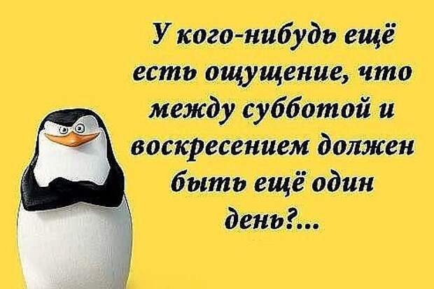 МОЙ ОТПУСК