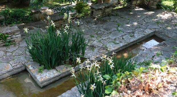 Фото: Анна Попкова