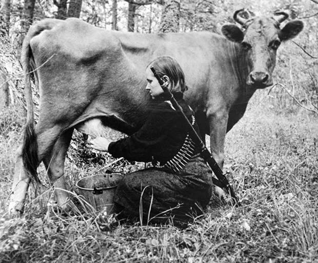 Пытки и казни война, партизаны., подвиг
