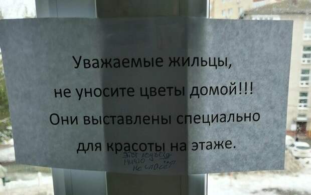 Соседи делятся впечатления о проживании друг с другом Соседи делятся впечатления о проживании друг с другом записка, объявление, подъезд, прикол, соседи, юмор