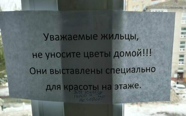 Соседи делятся впечатления о проживании друг с другом записка, объявление, подъезд, прикол, соседи, юмор