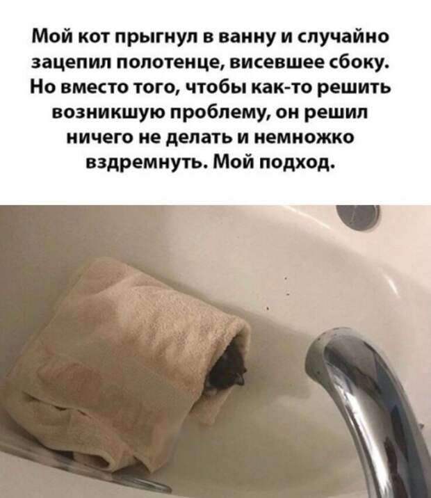 Юмор из интернета 600