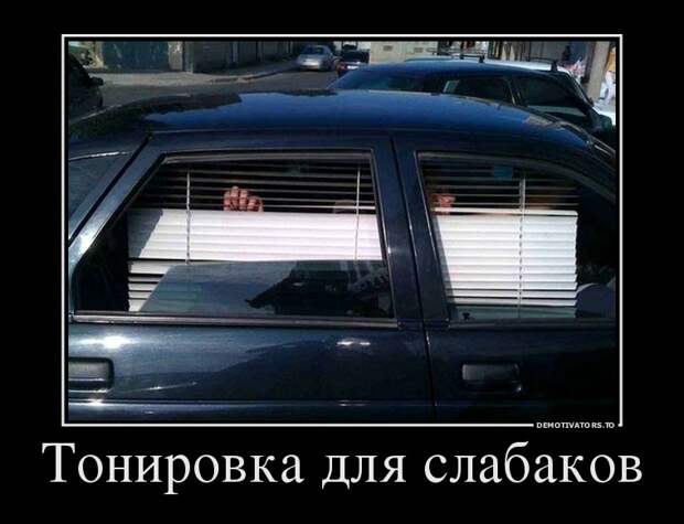 Демотиваторы бревно, демотиваторы, юмор