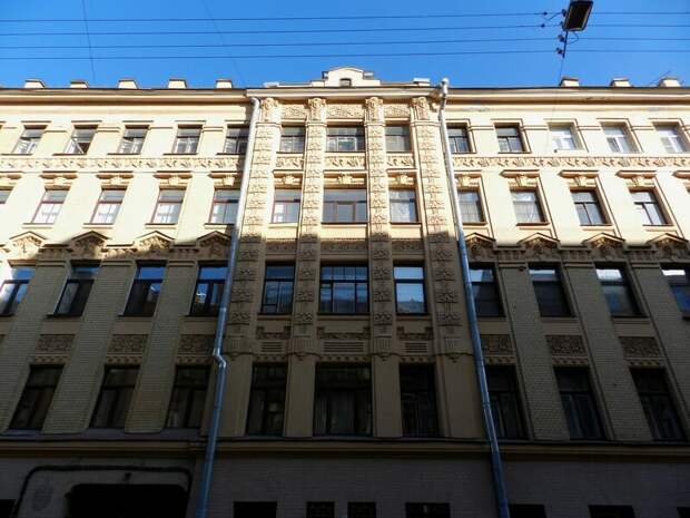 Питерские совы
