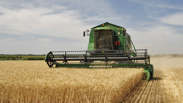 Agriculture_in_Volgograd_Oblast_002