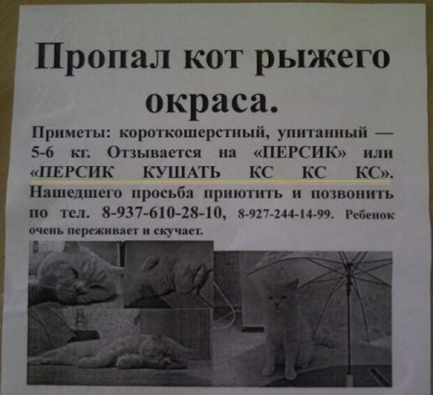 Смешные и прикольные объявления, вывески и надписи (19 фото)