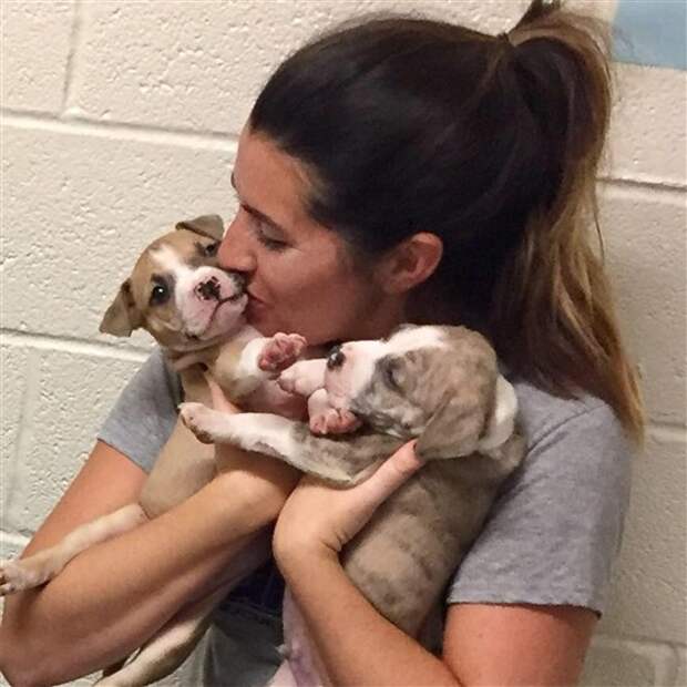 shelter-workers-dance-with-animals-today-180321-inline4_b76d47cb54acd93d344790b7978198fd.fit-560w.jpg
