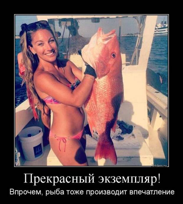 Свежие демотиваторы (19 шт)