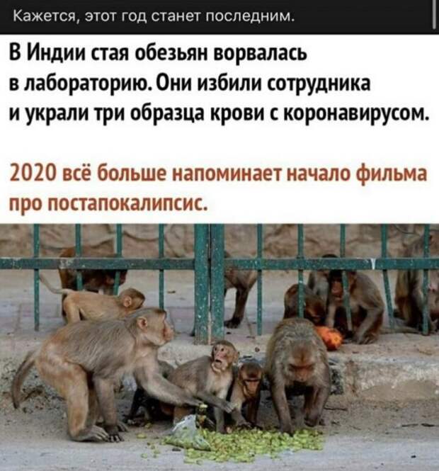 www.vsyako.net
