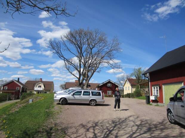 image sweden-fishing-0074-jpg