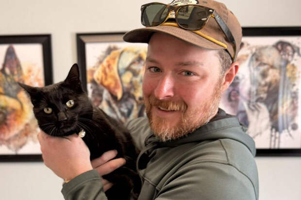 UPI: в США пропавшая кошка вернулась домой спустя 11 месяцев благодаря микрочипу