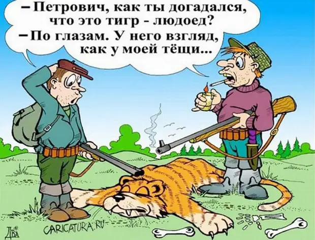 Молодым и дерзким хочется свободы и революций, а тем, кто их кормит, поит, собирает в школу — стабильности