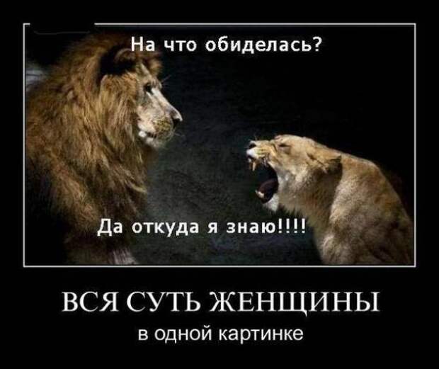 Подборка классных демотиваторов № 88