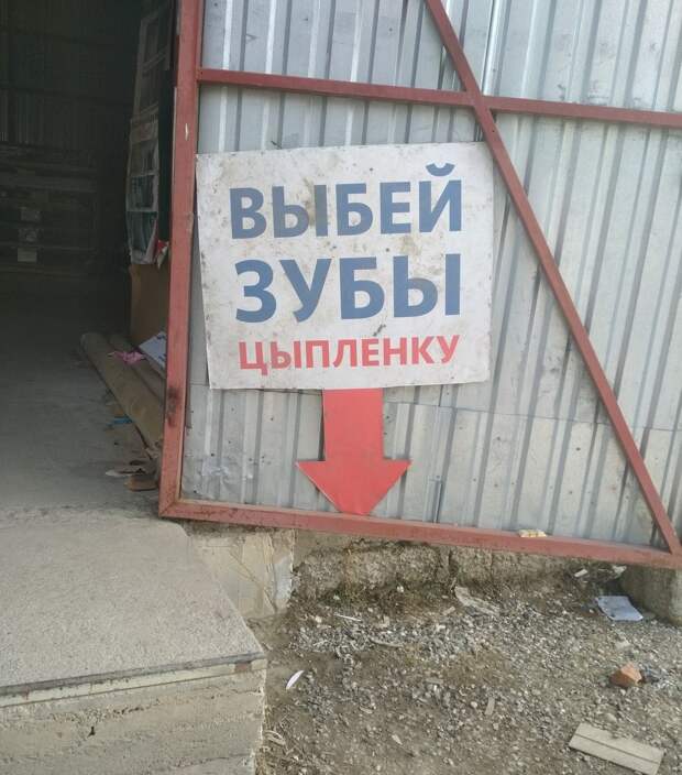 www.vsyako.net
