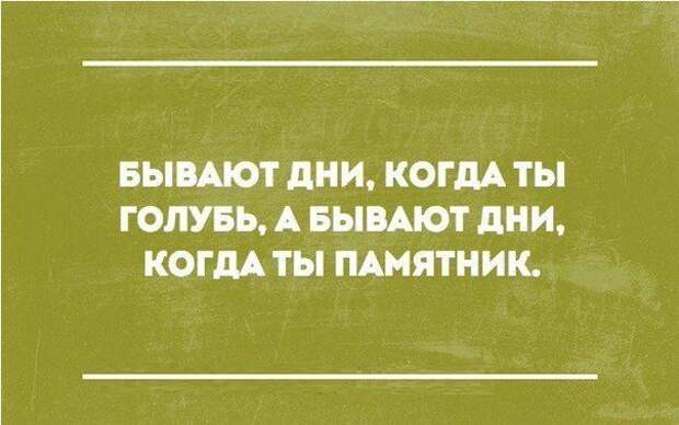 В точку! Вся мудрость интернета