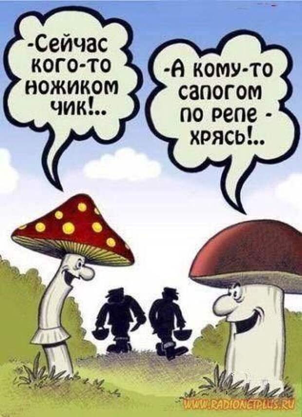 Немного улыбки...