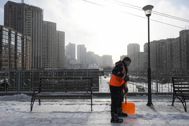 В России взлетели продажи лопат