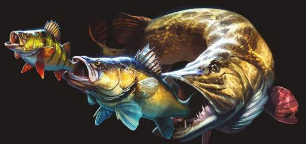 В любой непонятной ситуации дели Польшу