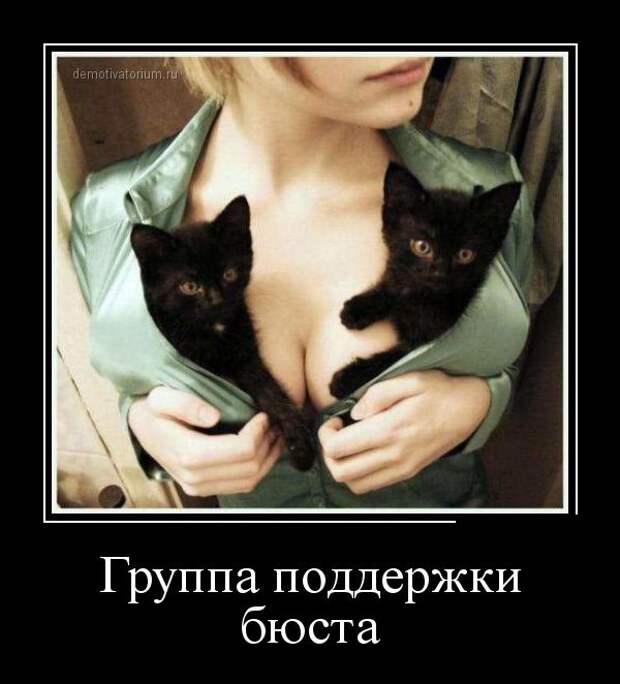 Демотиваторы бревно, демотиваторы, юмор
