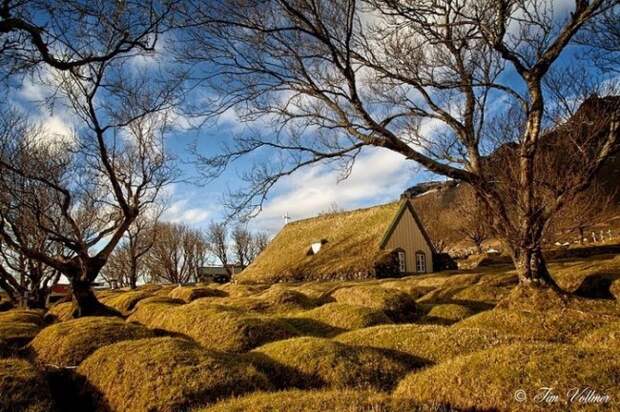 Уникальная дерновая церковь в Исландии (7 фото)