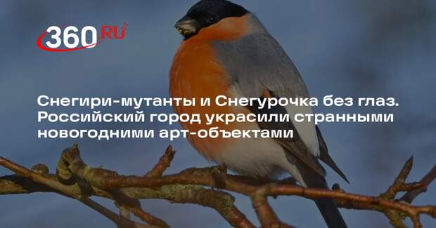 Жителей Нижневартовска испугали новогодние фигуры снегирей