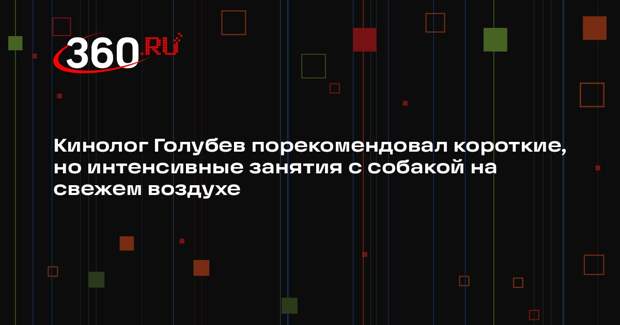 Кинолог Голубев порекомендовал короткие, но интенсивные занятия с собакой на свежем воздухе