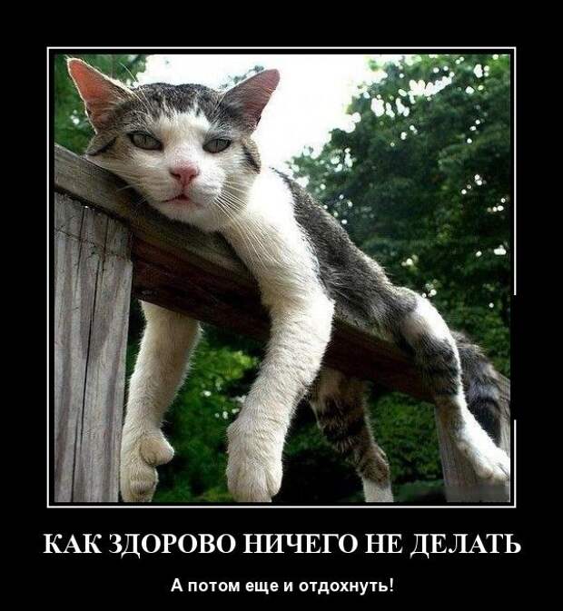 Демотиваторы (30 фото)