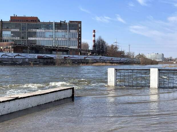 Тульская область в зоне риска сильного весеннего паводка