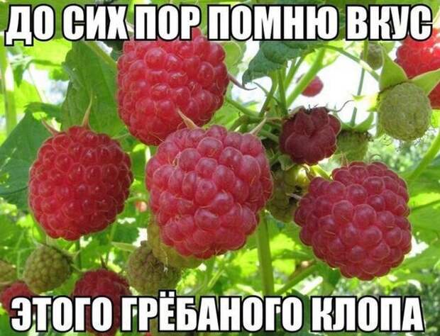 Подборка картинок с надписями (20 фото)