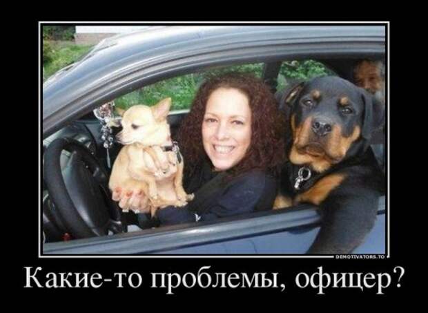 Свежие демотиваторы-приколы (28 шт)