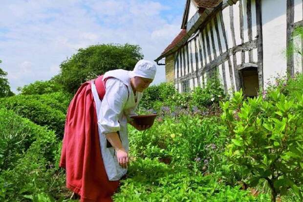 Ферма Мэри Арден Mary Arden's Farm