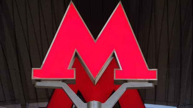 В Госдуме объяснили досмотр смартфонов в метро Москвы