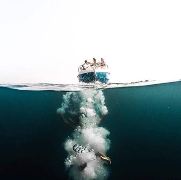 Прикольные фотографии и забавные картинки для позитива (11 фото) Прикольные фотографии и забавные картинки для позитива (11 фото)