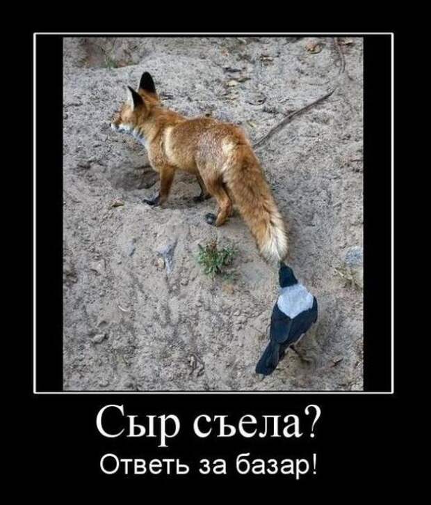 Подборка классных демотиваторов № 91