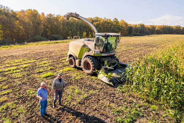 Приоритетную задачу на 2026 год назвал глава минсельхоза НСО